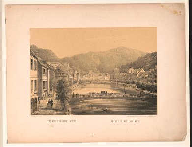 Die alte und neue Wiese Anciens et nouveaux Wiese - - X. Sandmann fec. ; artist Anst. v. Reiffenstein & Rösch in Wien. LCCN2017650445
