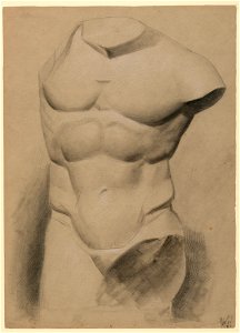 Drawing, Male Torso From a Plaster, 1840 (CH 18566213)