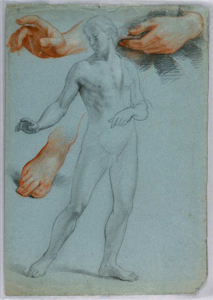 Drawing, Male Nude Standing, Separ, 1858 (CH 18566041)