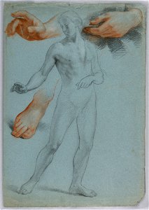 Drawing, Male Nude Standing, Separ, 1858 (CH 18566041)
