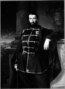 Gustav Curt Stever - Karl XV (1826-1872), king of Sweden and Norway, married to Lovisa of the Netherlands - NMGrh 2307 - Nationalmuseum
