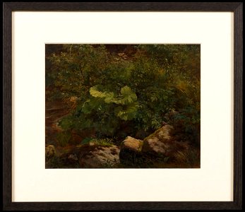 Gustav Friedrich Papperitz - Plants. Study - NM 7420 - Nationalmuseum