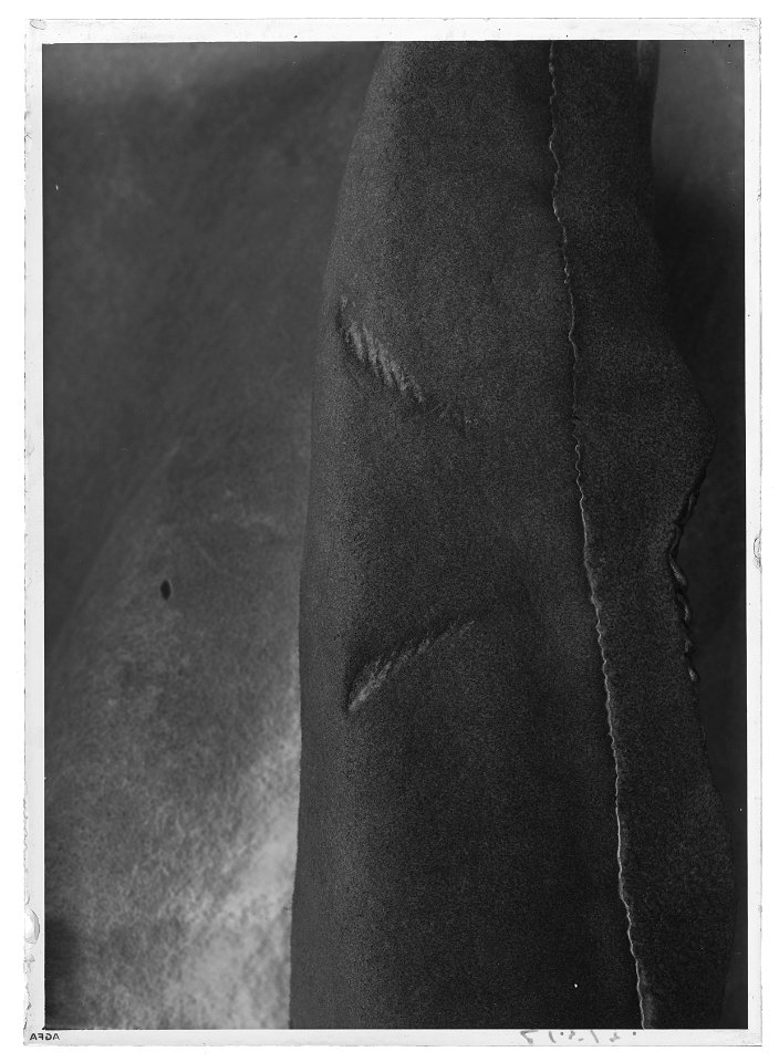 Gustav II Adolfs Lützenkyller - Livrustkammaren - 18060-negative