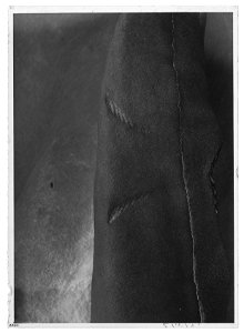 Gustav II Adolfs Lützenkyller - Livrustkammaren - 18060-negative