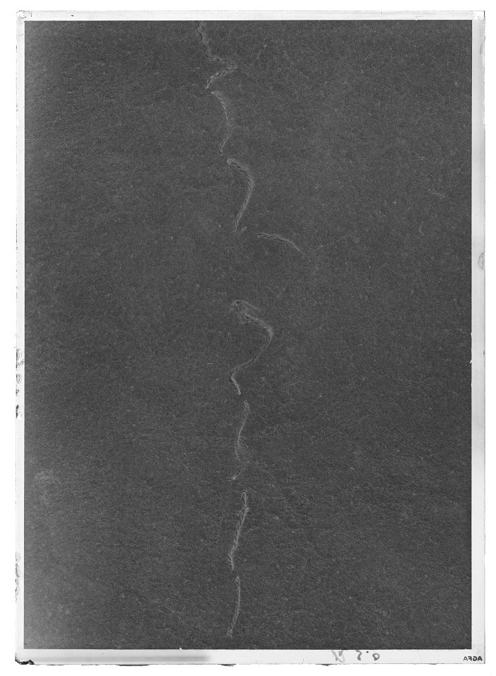Gustav II Adolfs Lützenkyller - Livrustkammaren - 52302-negative