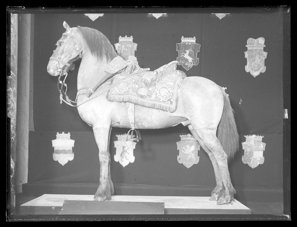 Gustav II Adolfs häst från slaget vid Lützen 1632-11-06, kallad Streiff - Livrustkammaren - 11288