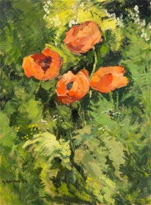 Gustav Macoun - Wild Poppies
