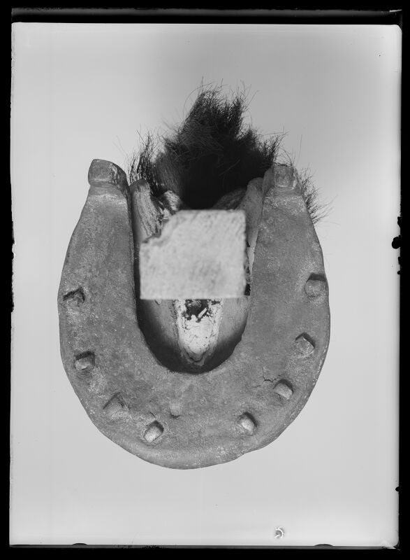 Gustav II Adolfs häst från Slaget vid Lützen 1632-11-06, kallad Streiff - Livrustkammaren - 60853