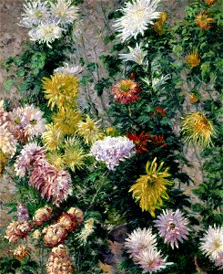 Gustave Caillebotte - Chrysanthèmes blancs et jaunes, jardin du Petit Gennevilliers - Musée Marmottan-Monet