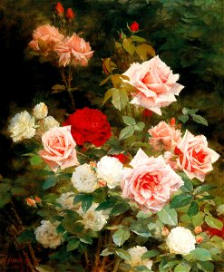 Gustave Bienvétu - A rose garden