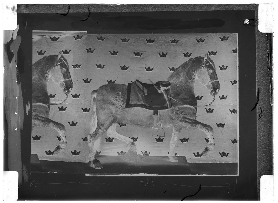 Gustav IIIs häst Kaulbars - Livrustkammaren - 77954-negative