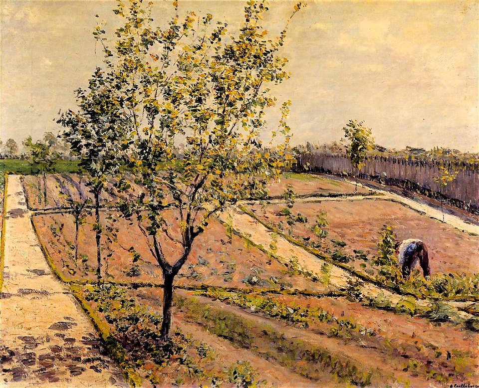 Gustave Caillebotte - Le jardin potager, Petit Gennevilliers