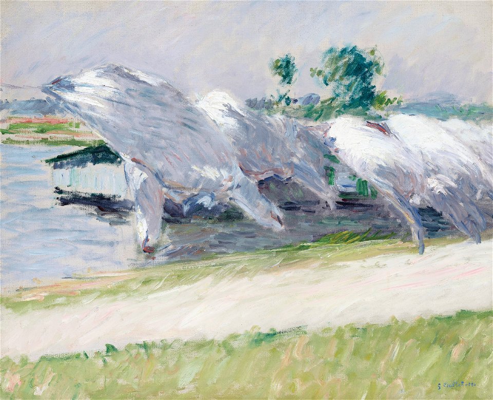 Gustave Caillebotte - Linge sechant, Petit Gennevilliers