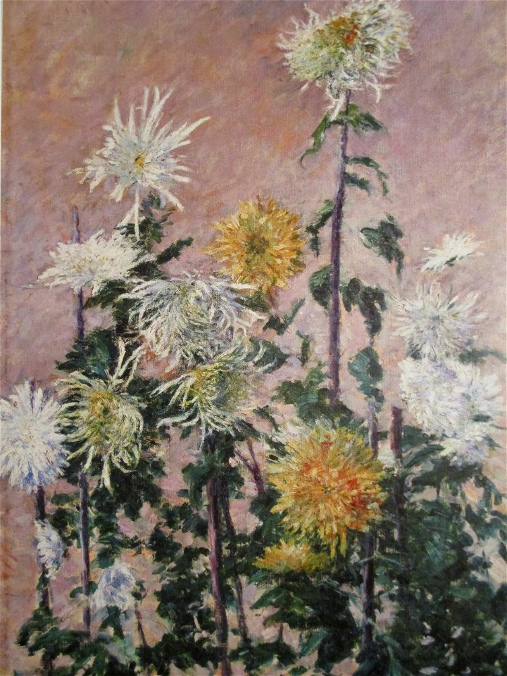 Gustave Caillebotte Chrysanthèmes blancs et jaunes