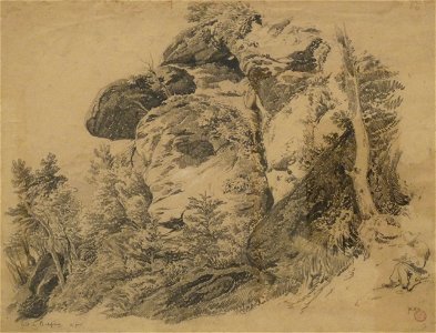 Gustave Brion-Forêt de Bischoffsheim