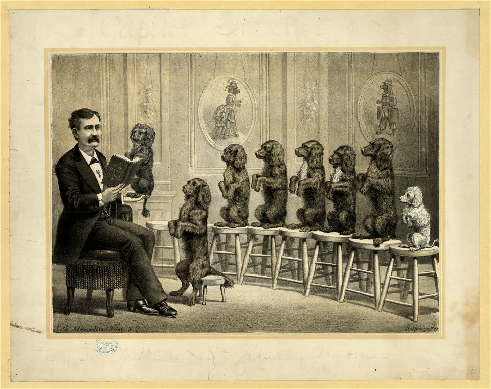 Educated dogs LCCN2003672858