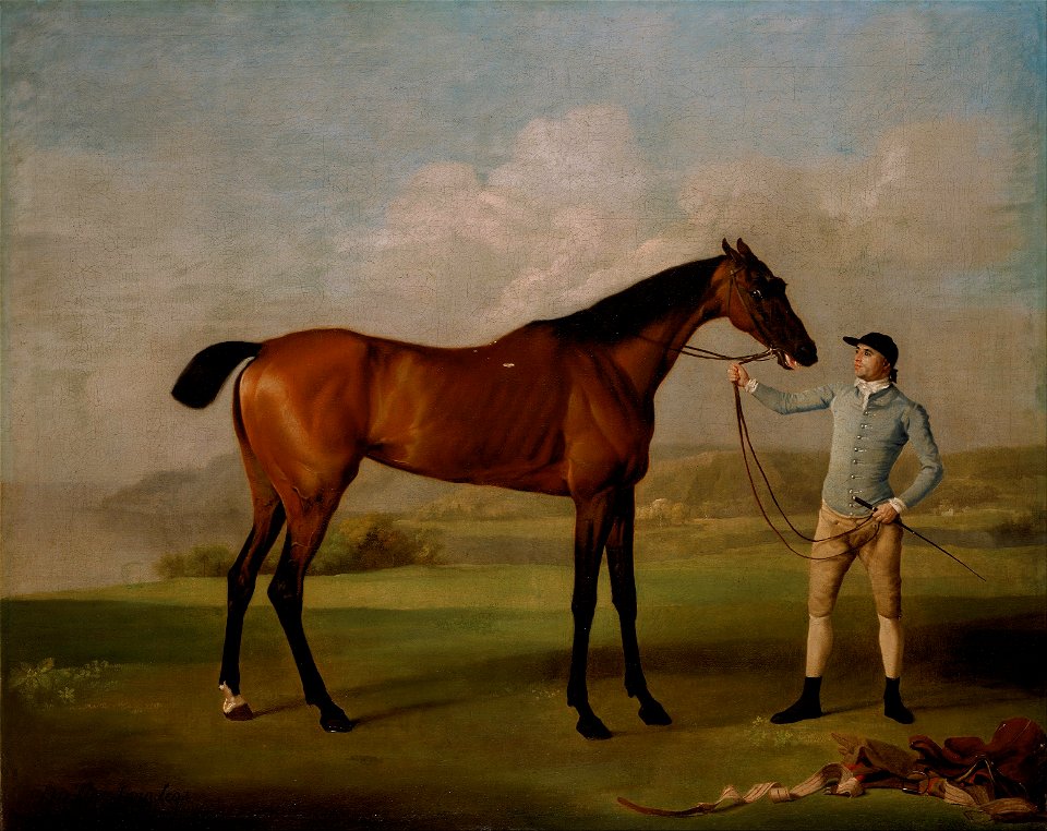 George Stubbs - Molly Long-legs with her Jockey - Google Art Project