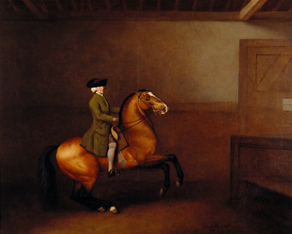 George Stubbs (1724-1806) - Portrait of a Gentleman - RCIN 400560 - Royal Collection