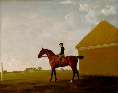 George Stubbs - Turf, with Jockey up, at Newmarket - Google Art Project. Free illustration for personal and commercial use.