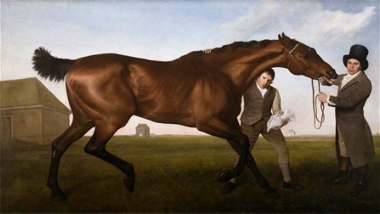George Stubbs (1724-1806) - 'Hambletonian', Rubbing Down - 1220985 - National Trust