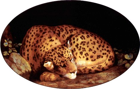 George Stubbs 011