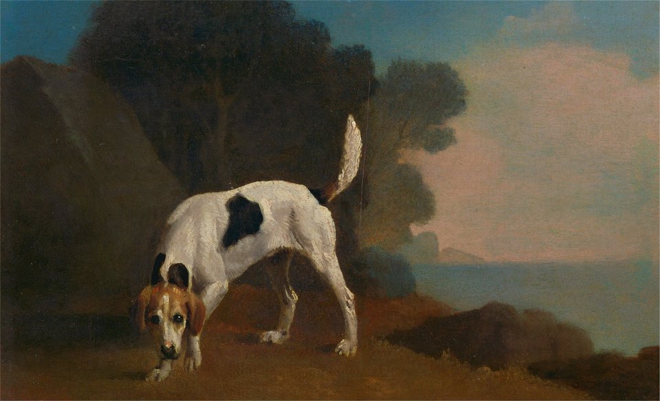 George Stubbs - Foxhound - Google Art Project