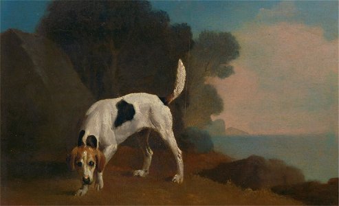 George Stubbs - Foxhound - Google Art Project. Free illustration for personal and commercial use.
