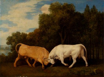 George Stubbs - Bulls Fighting - Google Art Project. Free illustration for personal and commercial use.