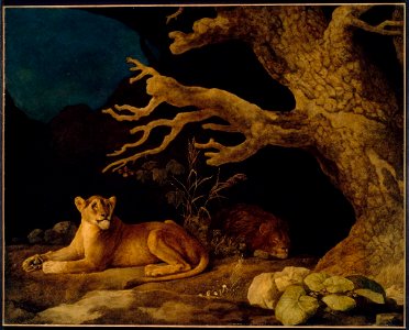 George Stubbs - Lion and Lioness - 49.6 - Museum of Fine Arts. Free illustration for personal and commercial use.