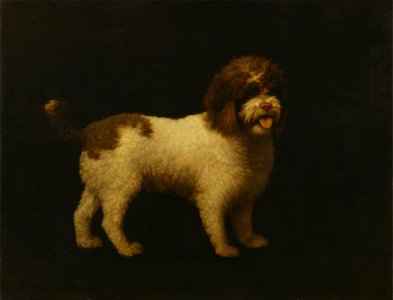 George Stubbs - Water Spaniel - Google Art Project. Free illustration for personal and commercial use.