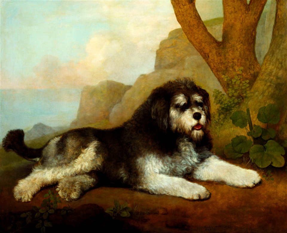 George Stubbs (1724-1806) - A Rough Dog - RCIN 405001 - Royal Collection