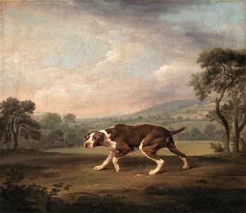 George Stubbs - The Pointer - WGA21950. Free illustration for personal and commercial use.