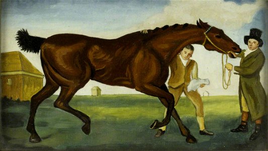 George Stubbs (1724-1806) (after) - 'Hambletonian', Rubbing Down - 1220998 - National Trust