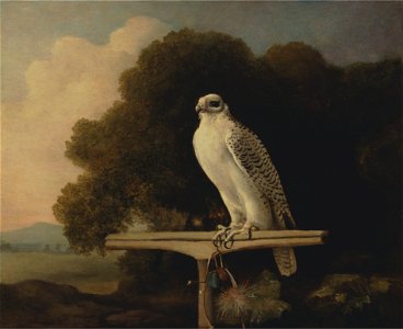 George Stubbs - Greenland Falcon - Google Art Project. Free illustration for personal and commercial use.