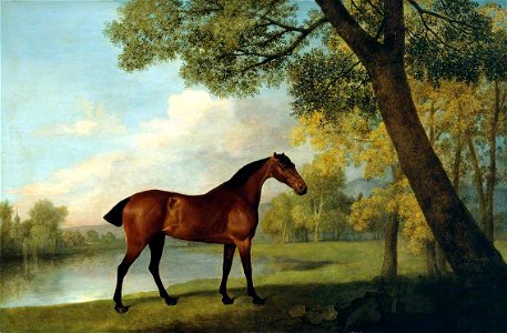 George Stubbs (1724-1806) - Bay Hunter by a Lake - T02374 - Tate