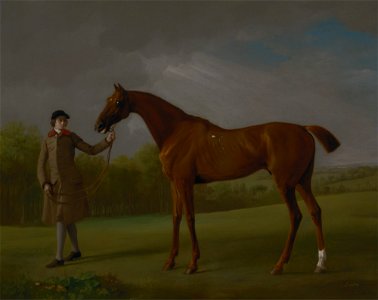 George Stubbs - Lustre, held by a Groom - Google Art Project. Free illustration for personal and commercial use.
