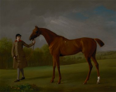 George Stubbs - Lustre, held by a Groom - Google Art Project