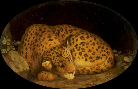 George Stubbs - Sleeping Leopard - Google Art Project. Free illustration for personal and commercial use.
