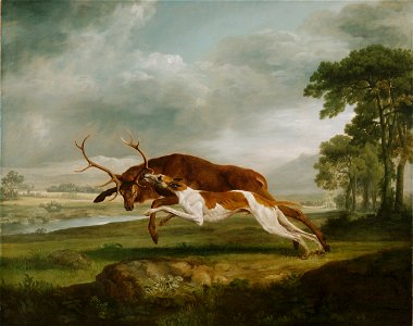 George Stubbs, English - Hound Coursing a Stag - Google Art Project. Free illustration for personal and commercial use.