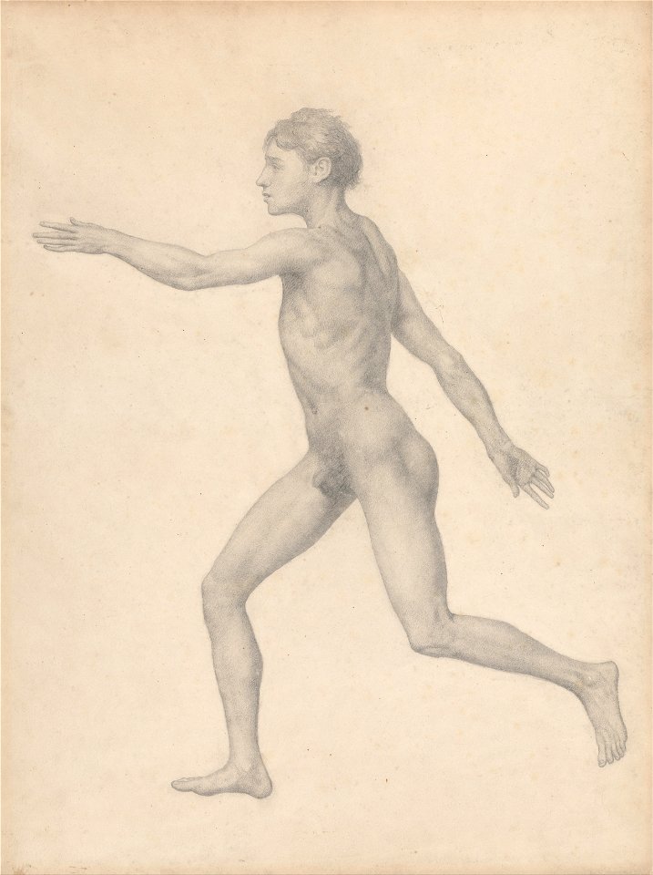 George Stubbs - A Comparative Anatomical Exposition of the Structure of the Human Body with that of a Tiger and a Co... - Google Art Project (2356250)