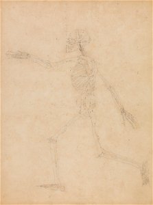 George Stubbs - A Comparative Anatomical Exposition of the Structure of the Human Body with that of a Tiger and a Co... - Google Art Project (2358306)