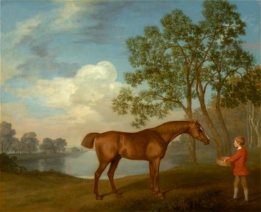 George Stubbs - Pumpkin with a Stable-lad - Google Art Project