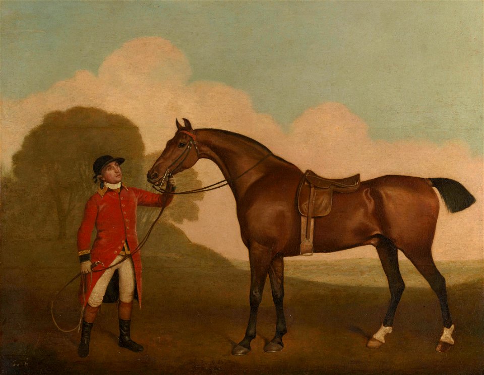 George Stubbs (1724-1806) - A Bay Horse with a Groom - RCIN 402406 - Royal Collection