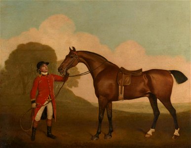 George Stubbs (1724-1806) - A Bay Horse with a Groom - RCIN 402406 - Royal Collection