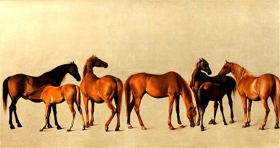 George Stubbs Mares and Foals 1762. Free illustration for personal and commercial use.