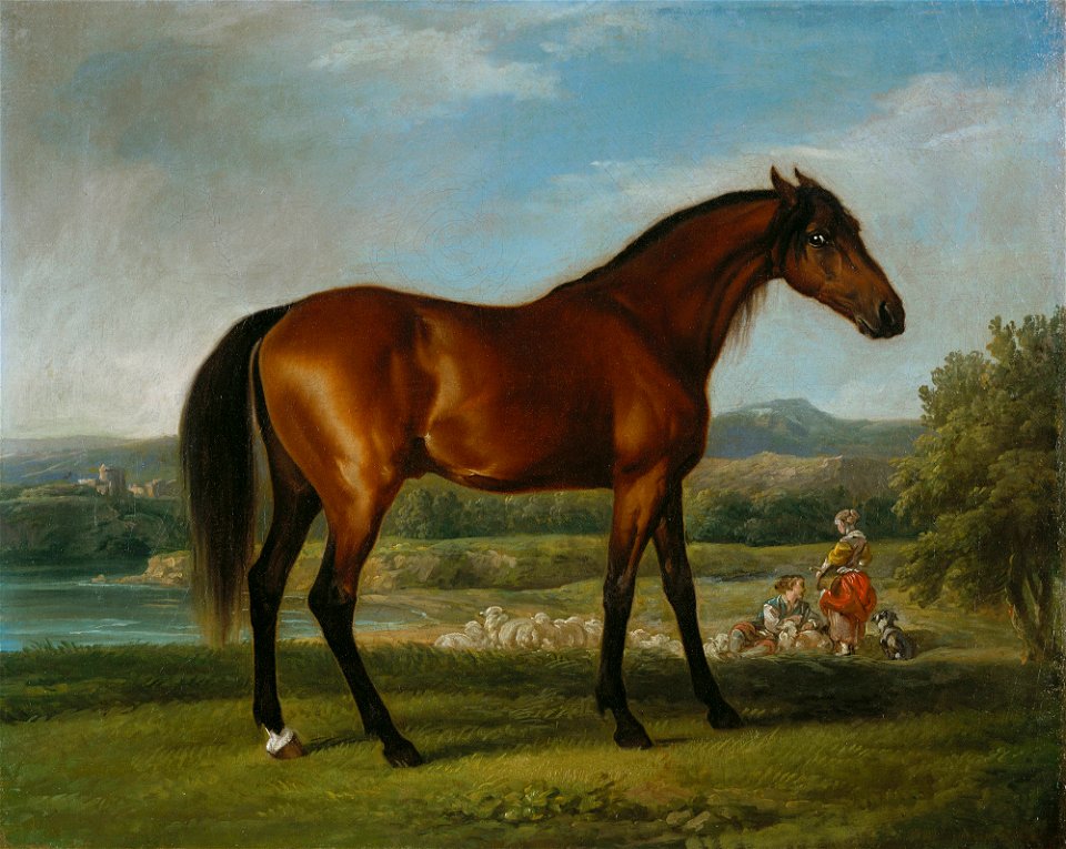 George Stubbs (1724-1806) - Hollyhock - RCIN 400034 - Royal Collection