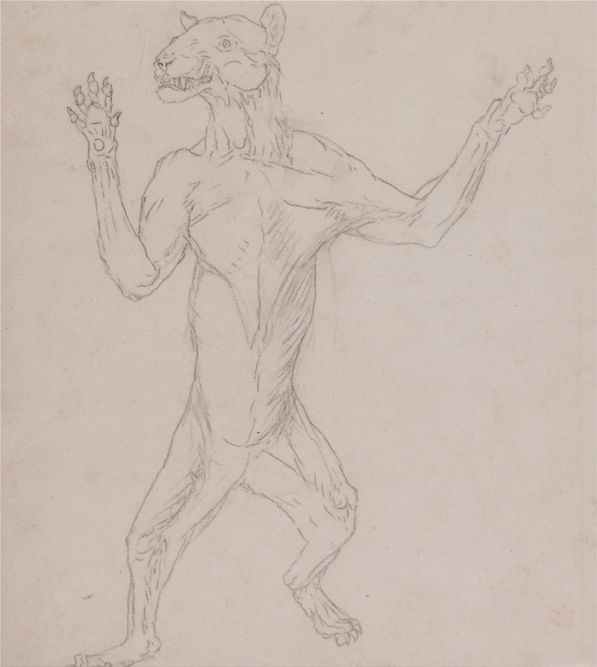 George Stubbs - A Comparative Anatomical Exposition of the Structure of the Human Body with that of a Tiger and a Co... - Google Art Project (2358383)