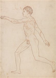 George Stubbs - A Comparative Anatomical Exposition of the Structure of the Human Body with That of a Tiger and a Co... - Google Art Project (2356309)