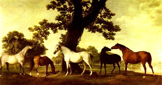 George Stubbs 014