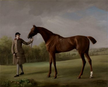 George Stubbs - Lustre, held by a Groom - B2001.2.122 - Yale Center for British Art. Free illustration for personal and commercial use.